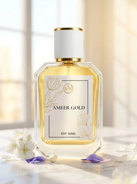 AMEER GOLD